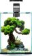 Triton AQUAEL Zestaw Aquael Shrimp Set Smart Day & Night [10l] - czarny 3