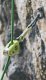 Przyrząd ohm ii-oasis EDELRID 10