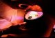Wanbo WANBO GALAXY LIGHT EVA, WPL11 - PROJEKTOR GWIAZD 5