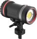 Sealife Sealife Sea Dragon 5000+ with Color Boost Light Head (SL680-1) 3