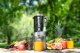 Wyciskarka wolnoobrotowa Concept Solution LO7120 13