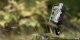 Kamera cyfrowa Redleaf Redleaf trail camera RF06 10