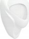 Pisuar Keramag 502.915.00.1 / GEBERIT / ALEX / PISUAR, B38CM, H64.5CM, T35CM, DOPŁYW Z TYŁU, ODPŁYW DO TYŁU / 6