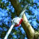 Piła łańcuchowa KASEI KASEI QJB270 OKRZESYWARKA PIŁA PILARKA PRZECINARKA SPALINOWA ŁANCUCHOWA PODKRZESYWARKA DO DREWNA NA TELESKOPOWYM WYSIĘGNIKU 2