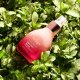 Jurlique , Herbal Recovery Signature, Firming, Serum, For Face, 30 ml For Women 6