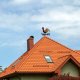 Vilde Kogut pogodowy róża wiatrów 9