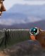Smartwatch Gravity Zegarek męski SMARTWATCH GT22-5 25
