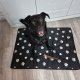 Purlov Legowisko 100x70cm dla psa 24862 7
