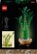 LEGO Botanicals Dracena sandera (10344) 9