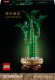 LEGO Botanicals Dracena sandera (10344) 1