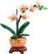 LEGO Botanicals Mała orchidea (10343) 8