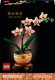 LEGO Botanicals Mała orchidea (10343) 1