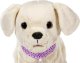 Zapf BABY BORN interactive dog with a box 10