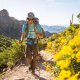 Costway KIJE DO NORDIC WALKING GOTA-2 2szt 7