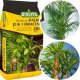 UN ZIEMIA - DO PALM, JUK I DRACEN - 5 L. 2