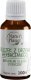 Natura Optima NATUR PLANET_Olejek eteryczny Drzewo Herbaciane 100ml 1