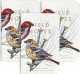Field Notes Notes Birds and Trees of North America 4