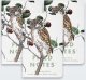 Field Notes Notes Birds and Trees of North America 1