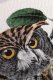 Field Notes Notes Birds and Trees of North America 3
