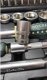 Zestaw narzędzi Rockforce Zestaw narzędzi 125+6el. 1/4", 3/8", 1/2" Premium 6