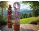 Plonos Pergola ogrodowa kolumna 200 cm Plonos PL-992 7