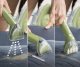 Odkurzacz piorący Bissell BISSELL Little Green 4098N urządzenie do czyszczenia tapicerki/dywanów 340W 5