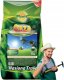 Planta Mieszanka traw gazonowych na tereny suche i piaszczyste 5kg Trawa oaza 1