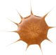 Essence DROP OF Sunshine BRONZING DROPS kropelki brązujące 25ml 2