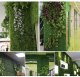 Gardlov Żywopłot sztuczny na balkon 0,4x0,6cm Gardlov25390 12