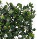Gardlov Żywopłot sztuczny na balkon 0,4x0,6cm Gardlov25390 7