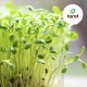 Toraf TORAF ZESTAW NASION SYMFONIA SMAKÓW - 12 OPAKOWAŃ 2