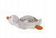 Cloud B Tranquil Pingwin ECO* 3