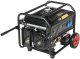 Delta AGREGAT PRĄDOTWÓRCZY DY-6020/PRO 5000W Dynamo 1