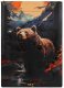 Nils Extreme NC3601 Śpiwór 3W1 Dwuosobowy BEAR NILS CAMP 1