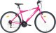 Bottari BIKE CITY MILANO 26 PURPLE 1