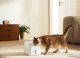 Xiaomi Xiaomi XMCWYSJ02 Smart Pet Fountain 4L 6