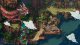 Xbox Game Studios SEA OF STARS XONE/XSX 6