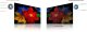 Telewizor TCL 40S5K QLED 40'' Full HD Android 8