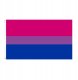 Guirca FLAGA TĘCZOWA LGBT DUŻA 90x150cm BISEKSUALNOŚĆ F7 5