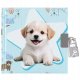 Starpak PAMIETNIK ZAM 135X135 CUTIES DOGGY PBH12/96 1