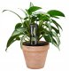 Fiskars PLANT CARE DOZOWNIK WODY 350 ML 4