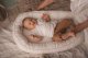 Multitex Materacyk pozycj. PRESTIGE MUSLIN DESIGN 80x55 3