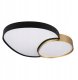 Lampa sufitowa EGLO Ceiling LED lamp TRIO RISE, 45 W, 5300 lm, 2700-6500 K, O70x8.5x66cm, with remote control 1