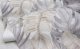 Vipro Group WALLPAPER 525227 GREY LEAVES (12) 1