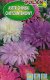 Seklos LT PLATINET NASIONA ASTER CHRYZANTEMOWY CALLISTEPHUS CHINENSIS SEEDS 1 G 2