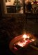 Zebco BONFEU BONPLANCHA ½ Ø 80 7
