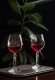 RCR ALKEMIST APERITIF GOBLET 4