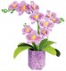 Educa Floral Art Orchid 3