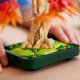 LEGO Botanicals Palm tree bonsai (10348) 3