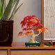 LEGO Botanicals Palm tree bonsai (10348) 4
